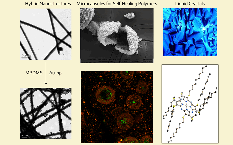 Examples of hybrid nanostructures, microcapsules, and liquid crystals from our research